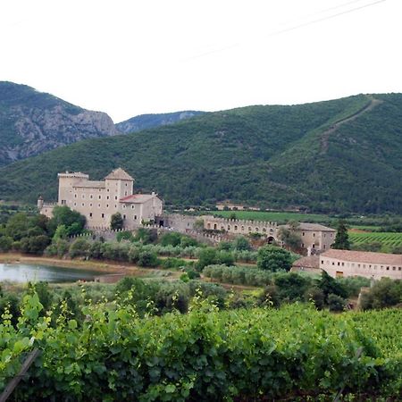Apartmán Castell De Riudabella Vimbodi I Poblet Exteriér fotografie