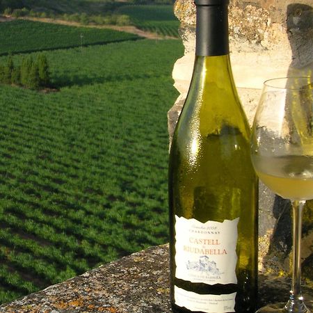Apartmán Castell De Riudabella Vimbodi I Poblet Exteriér fotografie