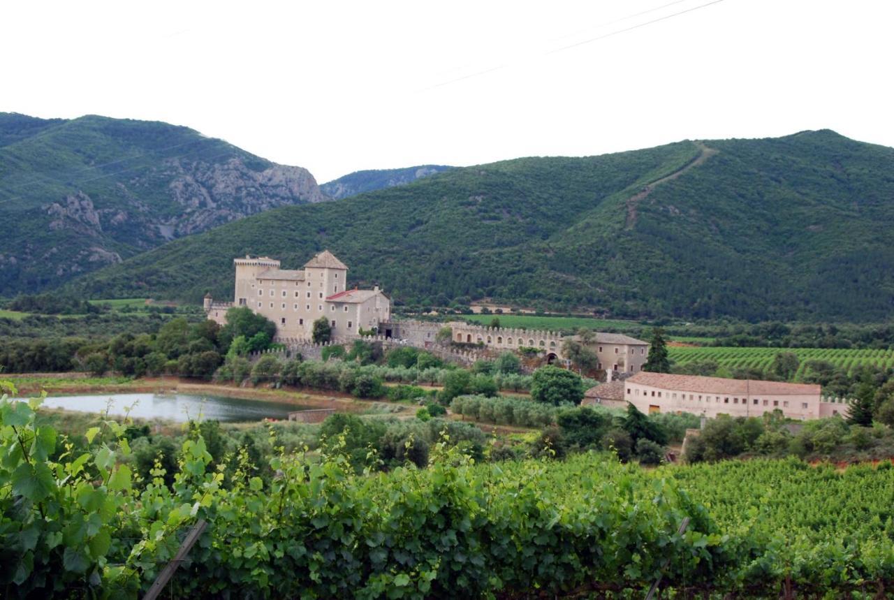 Apartmán Castell De Riudabella Vimbodi I Poblet Exteriér fotografie