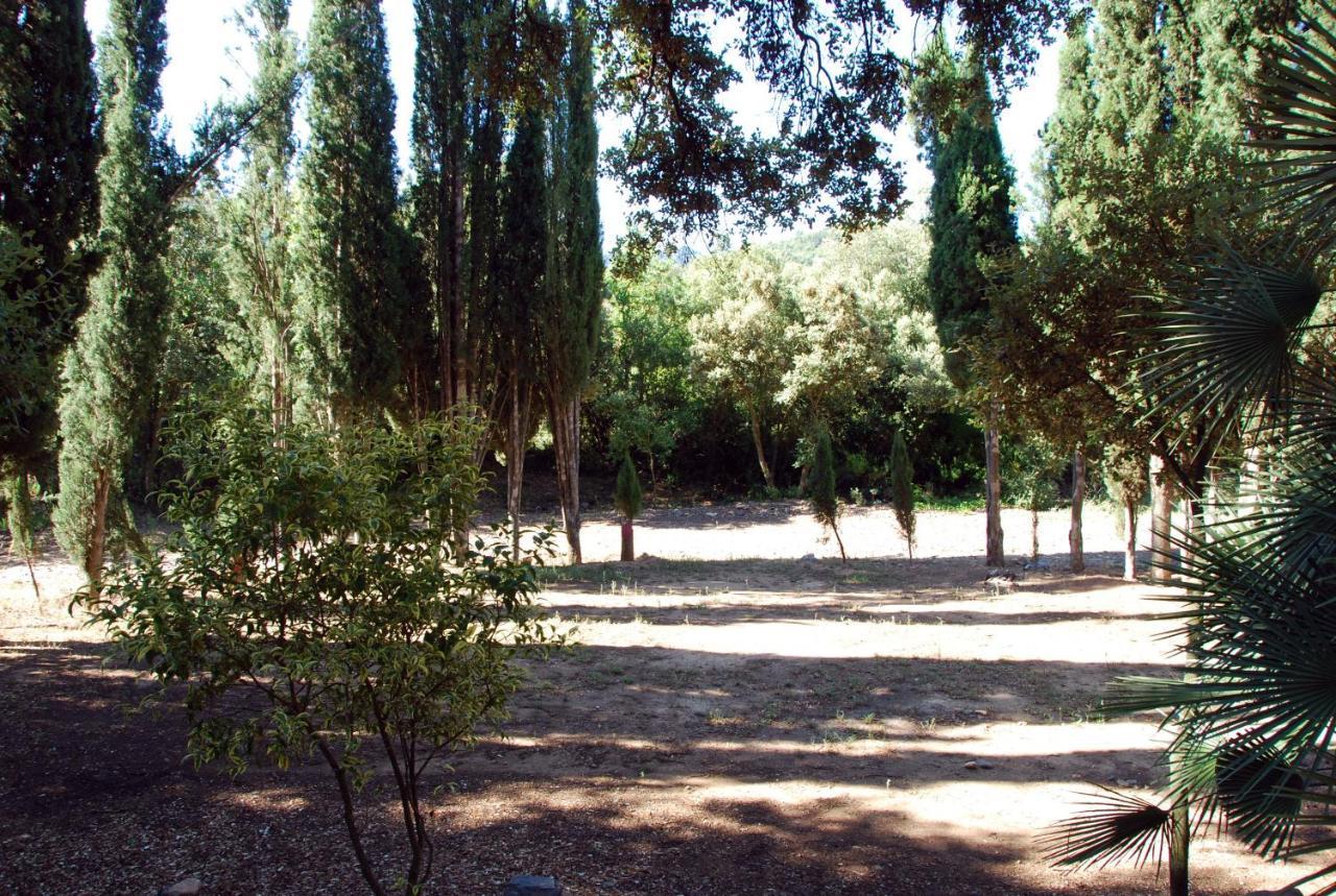 Apartmán Castell De Riudabella Vimbodi I Poblet Exteriér fotografie