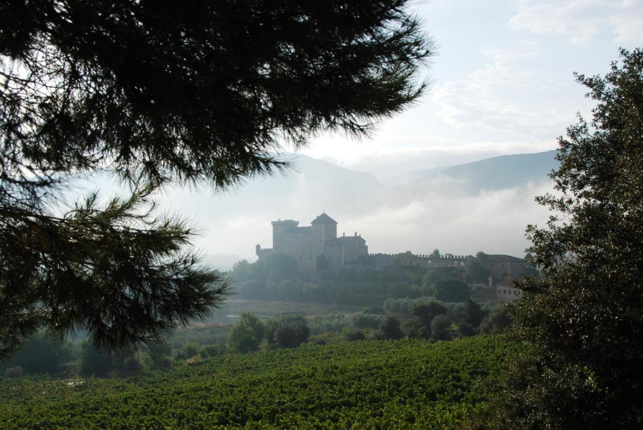 Apartmán Castell De Riudabella Vimbodi I Poblet Exteriér fotografie