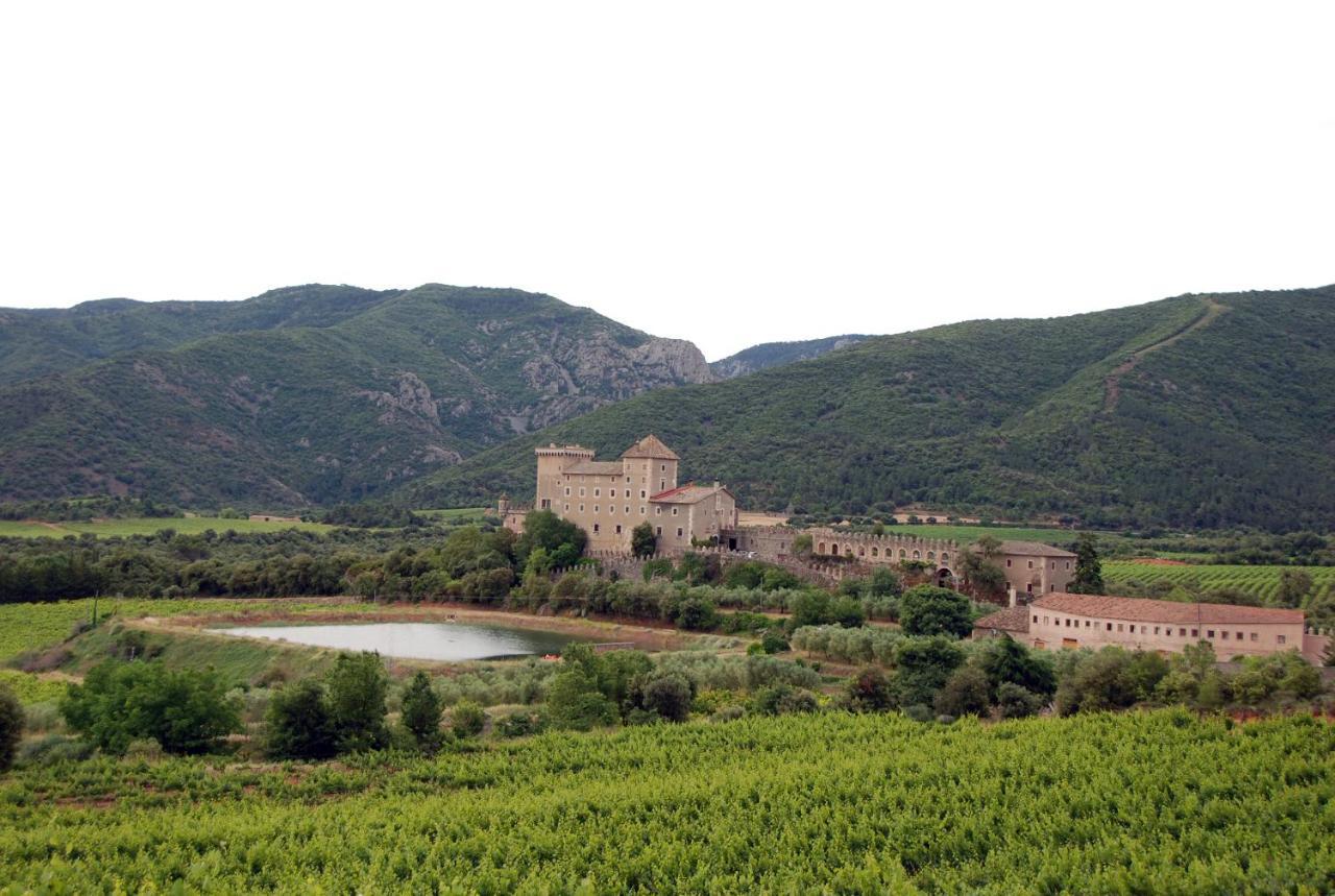 Apartmán Castell De Riudabella Vimbodi I Poblet Exteriér fotografie