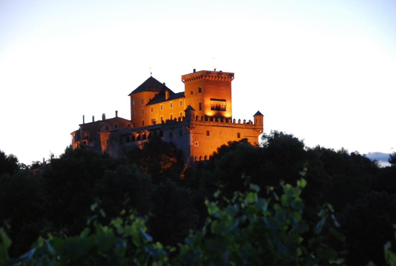 Apartmán Castell De Riudabella Vimbodi I Poblet Exteriér fotografie