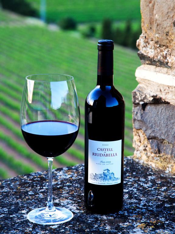 Apartmán Castell De Riudabella Vimbodi I Poblet Exteriér fotografie