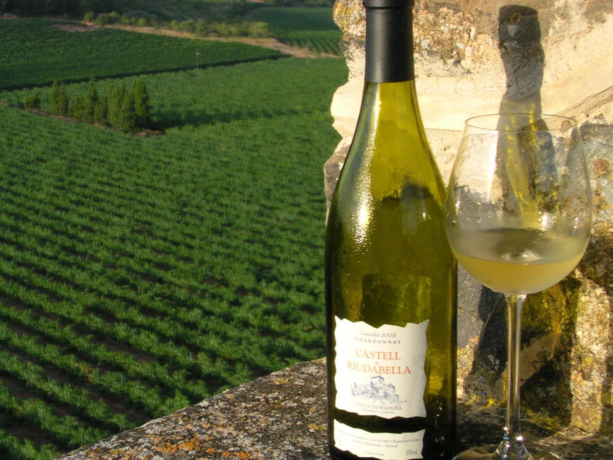 Apartmán Castell De Riudabella Vimbodi I Poblet Exteriér fotografie