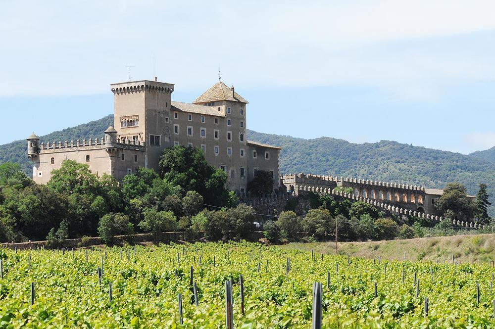 Apartmán Castell De Riudabella Vimbodi I Poblet Exteriér fotografie