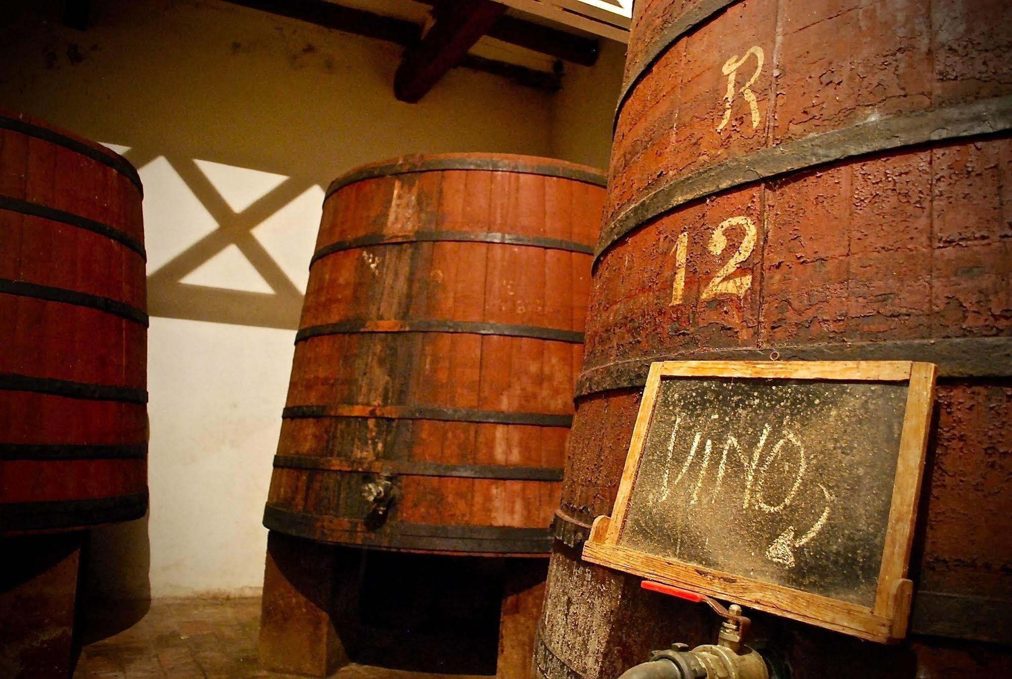 Apartmán Castell De Riudabella Vimbodi I Poblet Exteriér fotografie